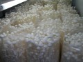 山東齊河縣大黃鄉(xiāng)食用菌產(chǎn)業(yè)發(fā)展迅速