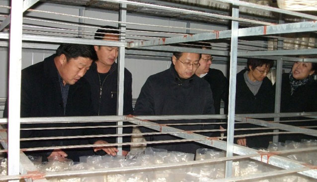 晉城立足資源優(yōu)勢(shì)，促進(jìn)食用菌產(chǎn)業(yè)平穩(wěn)增長(zhǎng)