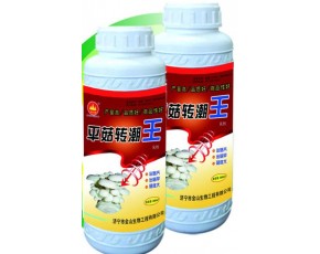 專潮快，效果好