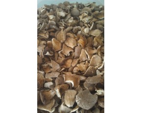 大量批發(fā)干貨、鮮貨： 姬菇、  姬菇 統(tǒng)貨、平菇、 平菇 片、中條