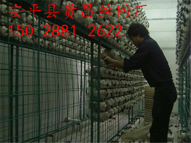 食用菌網(wǎng)格網(wǎng)架，出菇房網(wǎng)格，蘑菇網(wǎng)片