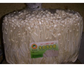 金針菇、黑木耳、北蟲草