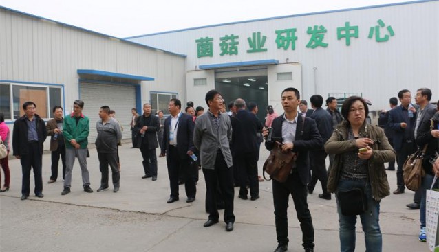 天津中延菌菇業(yè)公司工廠化杏鮑菇基地