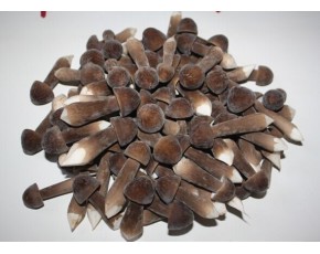 大量供應黑皮雞樅 鮮品干品禮盒都有