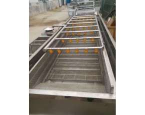 枸杞清洗機，大棗清洗機，果蔬清洗設備