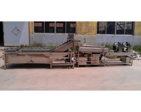 大棗清洗機(jī)，干棗清洗機(jī)，大棗清洗機(jī)廠家