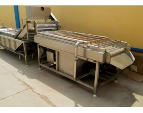 羅漢果清洗機(jī)，羅漢果清洗機(jī)廠家，果蔬加工設(shè)備