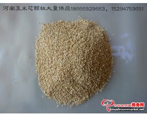 河南周口玉米芯供應