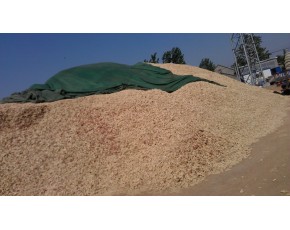 山東玉米芯，玉米芯顆粒