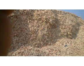 山東省菏澤常年供應玉米芯顆粒用于菌種培養(yǎng)