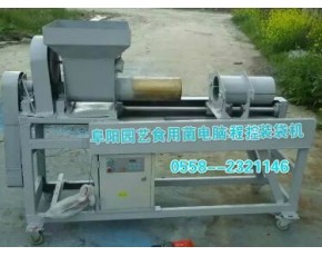 電腦程控自動裝袋機