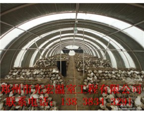 蘑菇大棚建造設(shè)計廠家長垣食用菌大棚建造標(biāo)準(zhǔn)