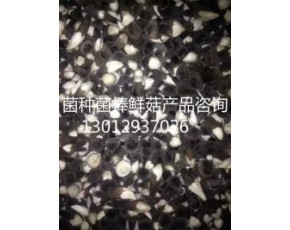 黑皮雞樅菌菌棒現(xiàn)貨供應