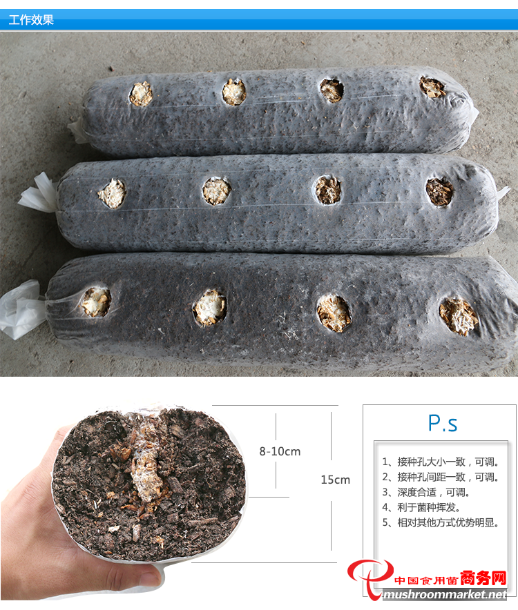 菇人自動(dòng)接種機(jī)