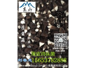 新鮮黑皮雞樅菌黑皮雞樅菌報(bào)價(jià)酒店專供						