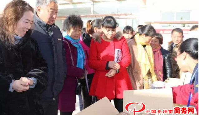 河南：靈寶菇農組團到昌盛香菇基地參觀交流