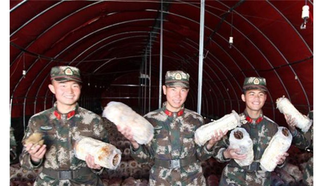 云南：香格里拉小中甸鎮(zhèn)食用菌扶貧項目正式啟動