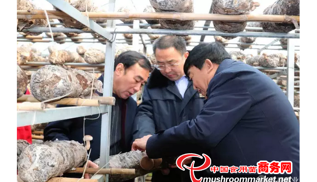 河南：三門峽市出入境檢驗檢疫局領導到昌盛香菇基地實地考察