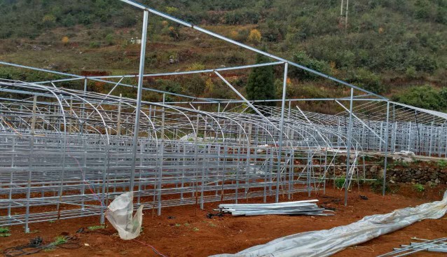 貴州：興義市匯源森農業(yè)公司加快珍稀食用菌基地建設