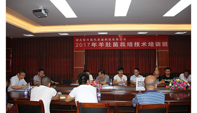 羊肚菌栽培技術培訓在湖北保興現(xiàn)代農(nóng)業(yè)科技有限公司開班