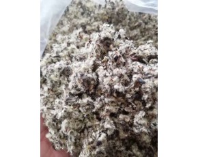 新疆南北疆油脂棉殼、棉籽