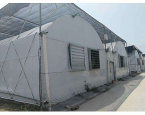 香菇大棚專業(yè)設(shè)計(jì)建設(shè)