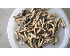 河北供應(yīng)優(yōu)質(zhì)鹽漬姬菇S級。數(shù)量百噸