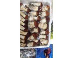 云南供應(yīng)鮮品大球蓋、常年供應(yīng)泉水干品木耳 