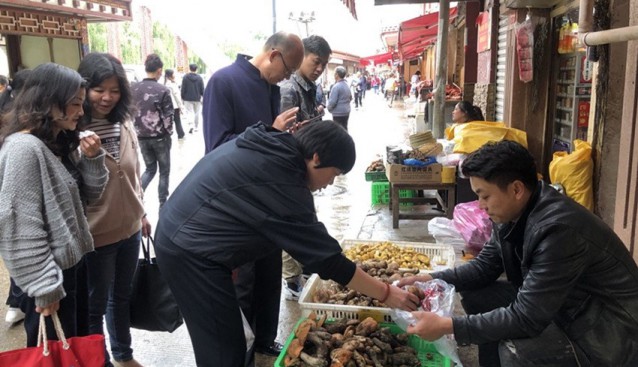 四川省康定市郭達(dá)農(nóng)貿(mào)市場牛肝菌、白菌等野生食用菌已小批量上市