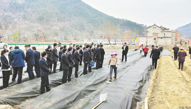 陜西省洛南縣云蒙山村新建木耳產(chǎn)業(yè)園 干部組織觀摩