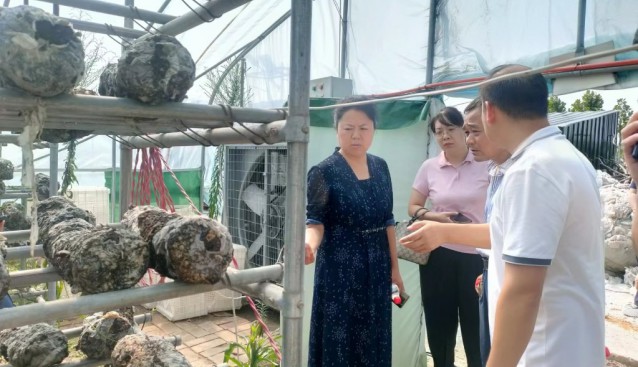 河南省郟縣政協(xié)副主席姚燦鋒、李艷艷一行前往安良村調(diào)研香菇產(chǎn)業(yè)發(fā)展情況