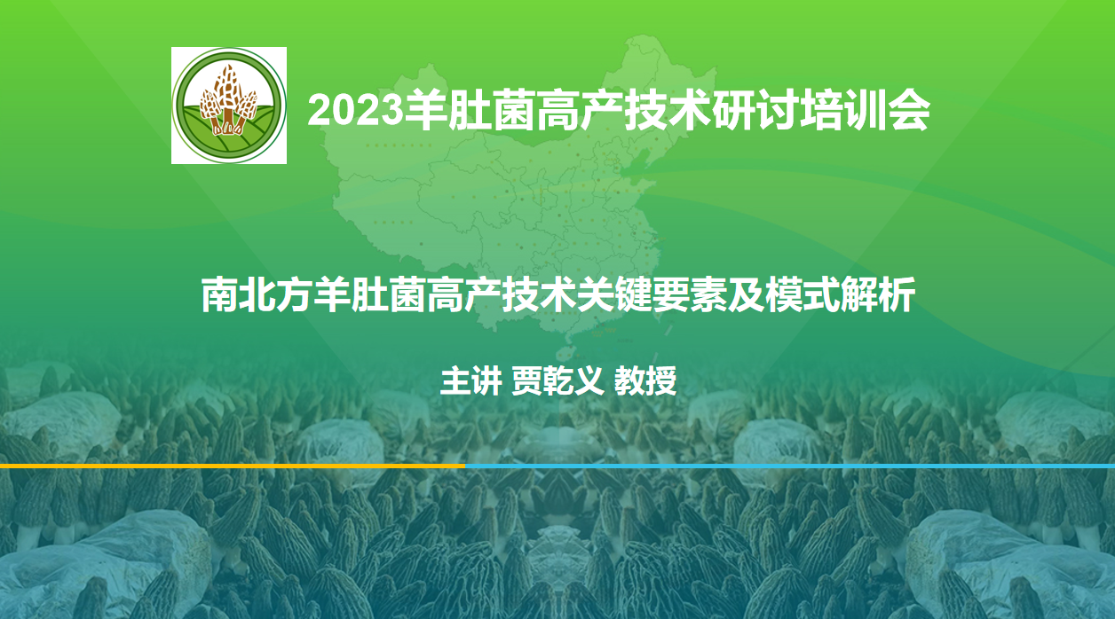 南北方羊肚菌高產(chǎn)技術(shù)關(guān)鍵要素及模式解析