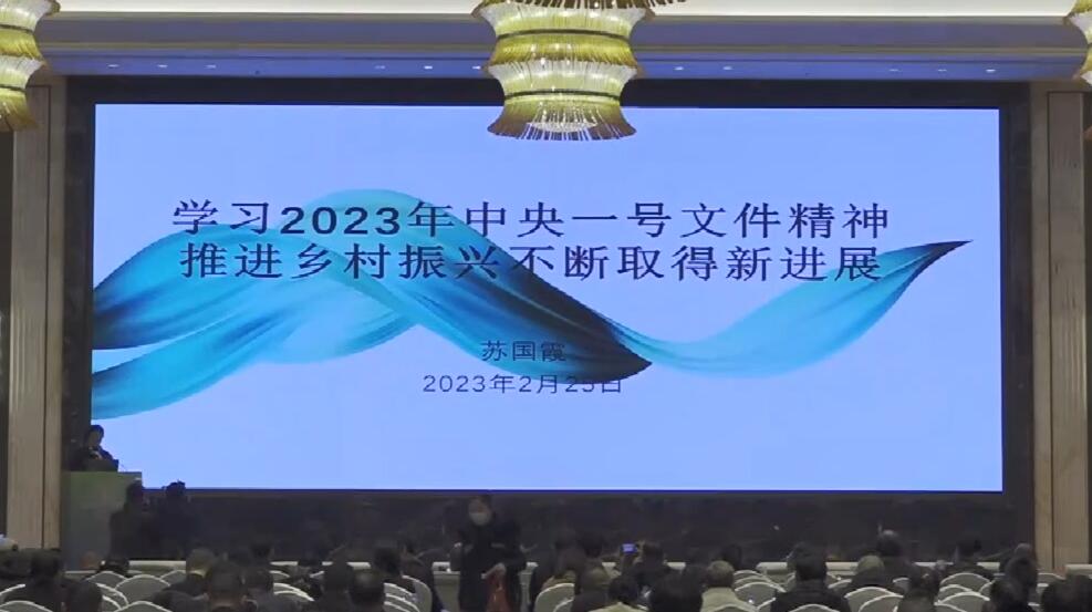 蘇國(guó)霞：學(xué)習(xí)2023年中央一號(hào)文件精神推進(jìn)鄉(xiāng)村振興不斷取得新進(jìn)展