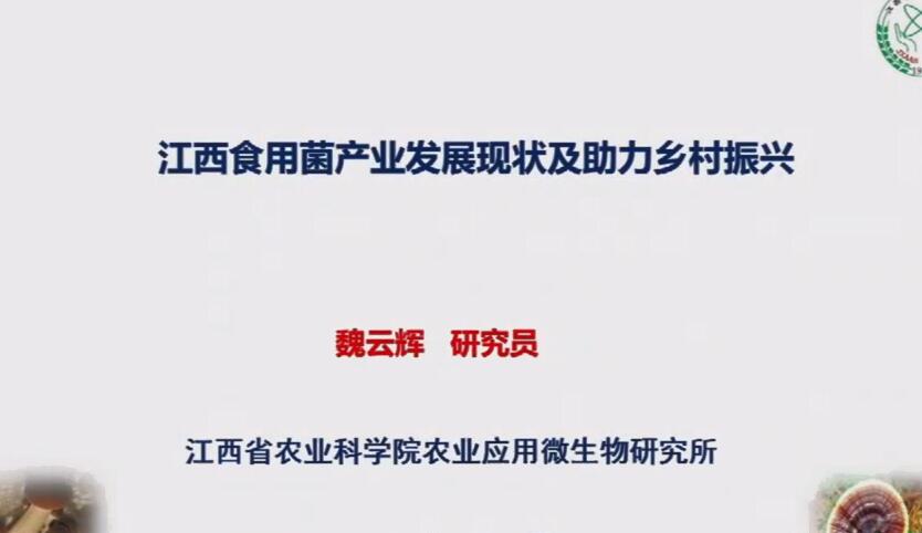 魏云輝：江西食用菌產(chǎn)業(yè)發(fā)展現(xiàn)狀及助力鄉(xiāng)村振興