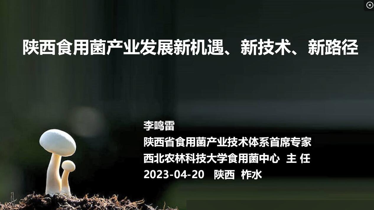 陜西食用菌產(chǎn)業(yè)發(fā)展新機遇、新技術(shù)-李鳴雷