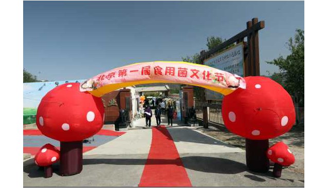 北京第一屆食用菌文化節(jié)暨2023大球蓋菇采摘季活動舉辦