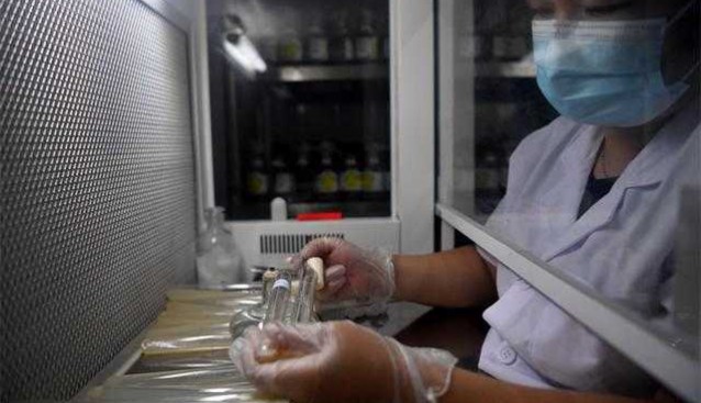 江西安義縣：廢料再利用，種植雙孢菇