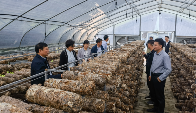 國(guó)家食用菌產(chǎn)業(yè)技術(shù)體系首席科學(xué)家一行調(diào)研留壩食用菌產(chǎn)業(yè)情況