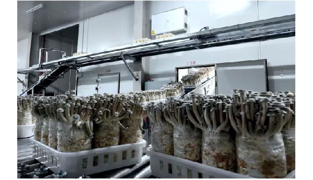 鴻升生物申請新三板掛牌，掛牌股份總量為31,168,800股