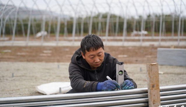 甘肅秦安縣五營鎮(zhèn)食用菌基地20座食用菌大棚建設加速