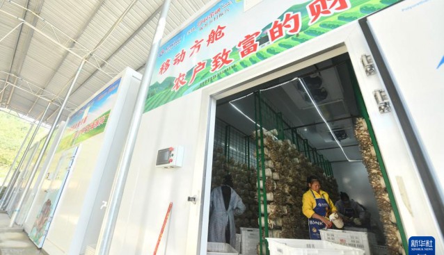 廣西德?？h：智慧方艙種食用菌，助力鄉(xiāng)村振興
