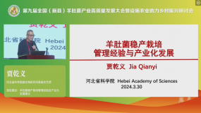 譚方何：中國(guó)羊肚菌外營(yíng)養(yǎng)袋栽培技術(shù)及主栽品種最新應(yīng)用進(jìn)展