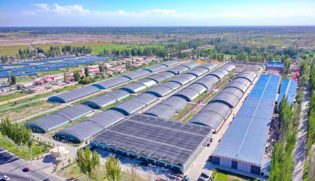 魯疆情食用菌科技示范園每年接待8000余名學生研學