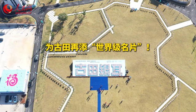 15000張菌菇照片，刷新吉尼斯世界紀(jì)錄