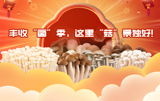 豐收“菌”季，這里“菇”景獨好!
