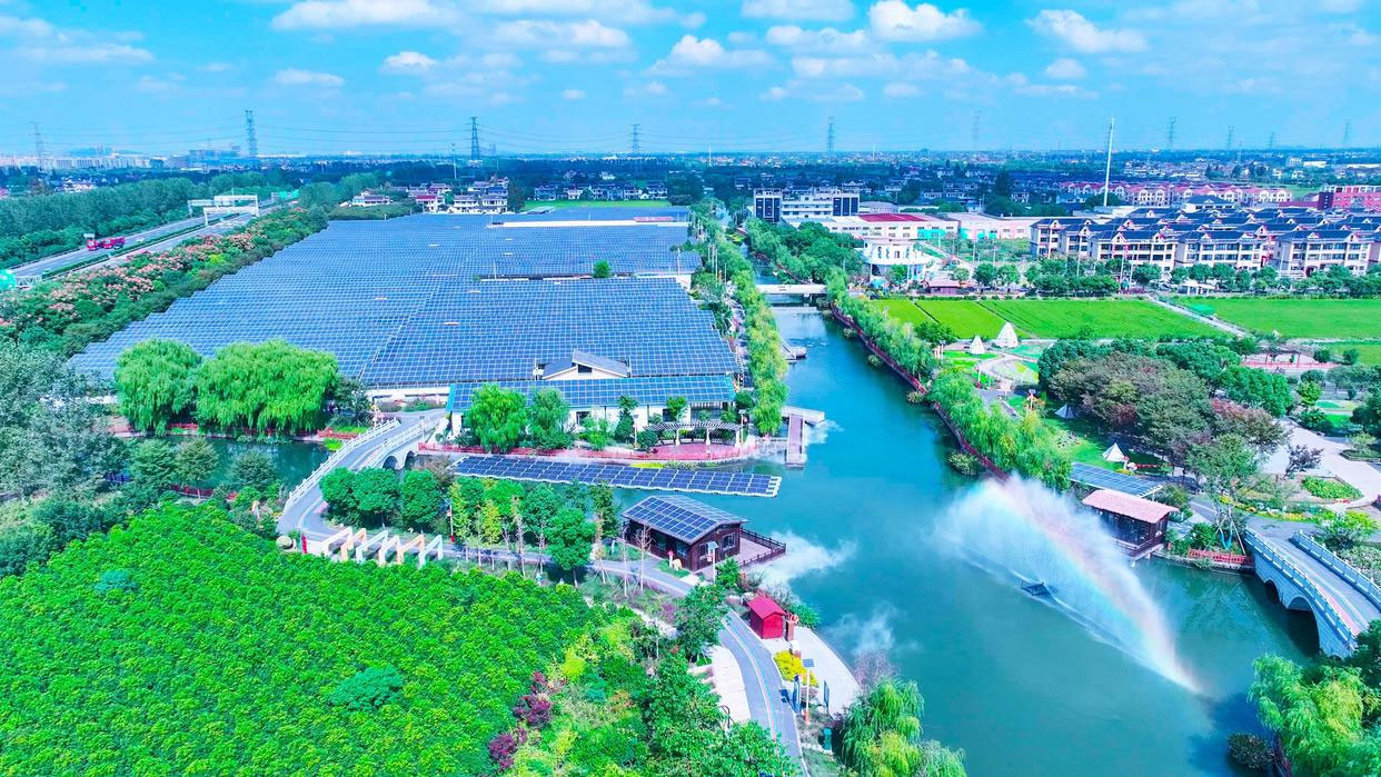 從養(yǎng)豬到種菇，浙江海寧鄉(xiāng)村實(shí)現(xiàn)綠色蛻變