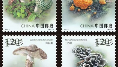 7月12日發(fā)行！《食用菌（第二組）》郵票一套4枚，圖稿公布