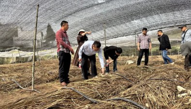 長裙竹蓀新品種田間技術(shù)鑒定會在四川長寧舉行