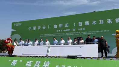 “菌”韻悠長(zhǎng)！中原農(nóng)谷韓董莊鎮(zhèn)（由甲田）首屆木耳采摘節(jié)開幕