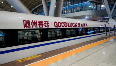 冠名高鐵專列！隨州香菇搭乘“中國(guó)速度”香飄四海